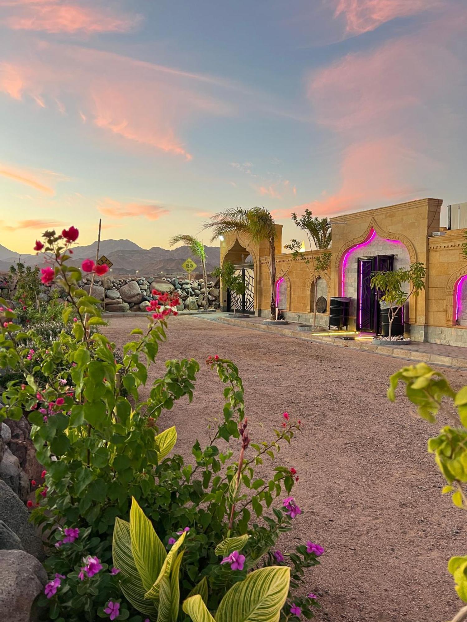 Casa D'Or Dahab Hotel Exterior photo
